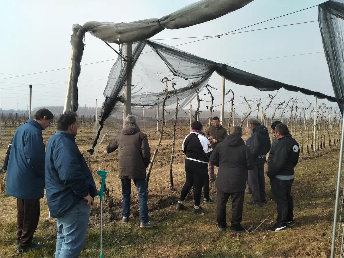 Fiume Veneto: diventare imprenditore agricolo, un corso per persone con fragilitá - 
