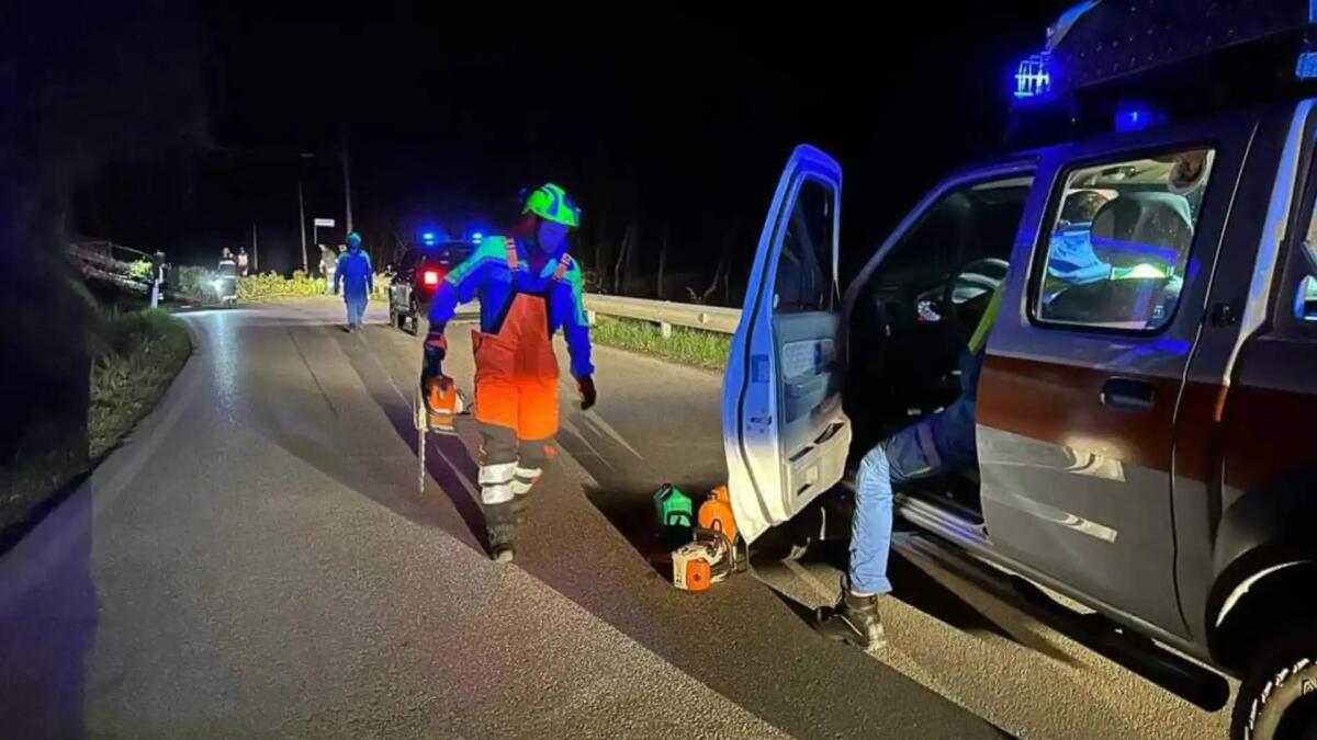 Forte vento, alberi a terra tra Fornalis di Cividale del Friuli e Prepotto - 