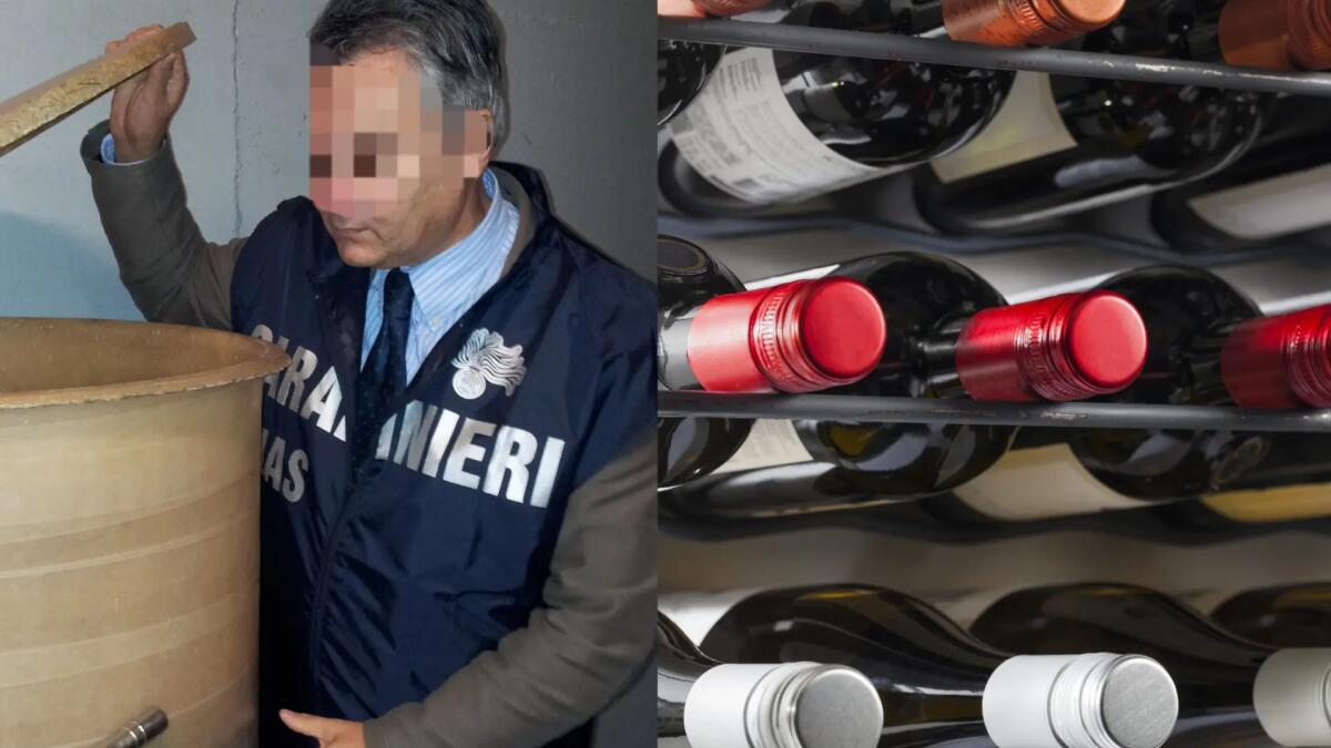 Falsi vini Dop e Igp, controlli dei Nas di Udine nelle cantine tra Friuli e Veneto - 
