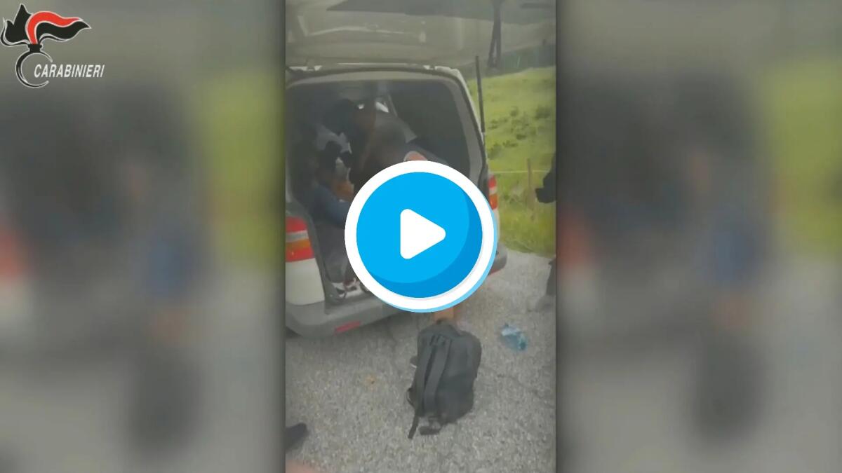 Migranti nascosti nel vano del furgone, trasportati in condizioni disumane: arrestato passeur - 