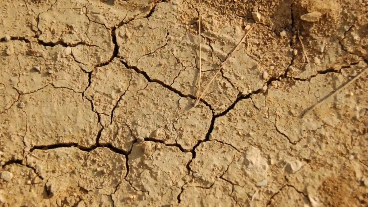 Siccità nel portogruarese: interviene la Città Metropolitana - 