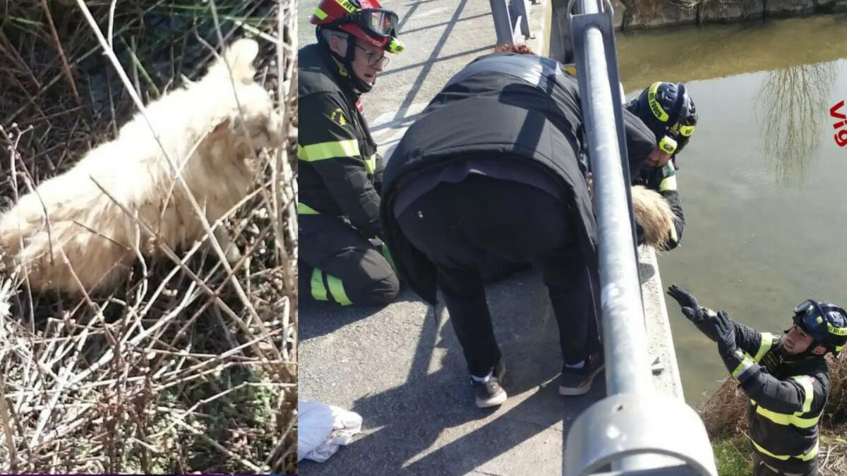 Giulia finisce in acqua e rimane bloccata nel canale: salvata dai pompieri - 