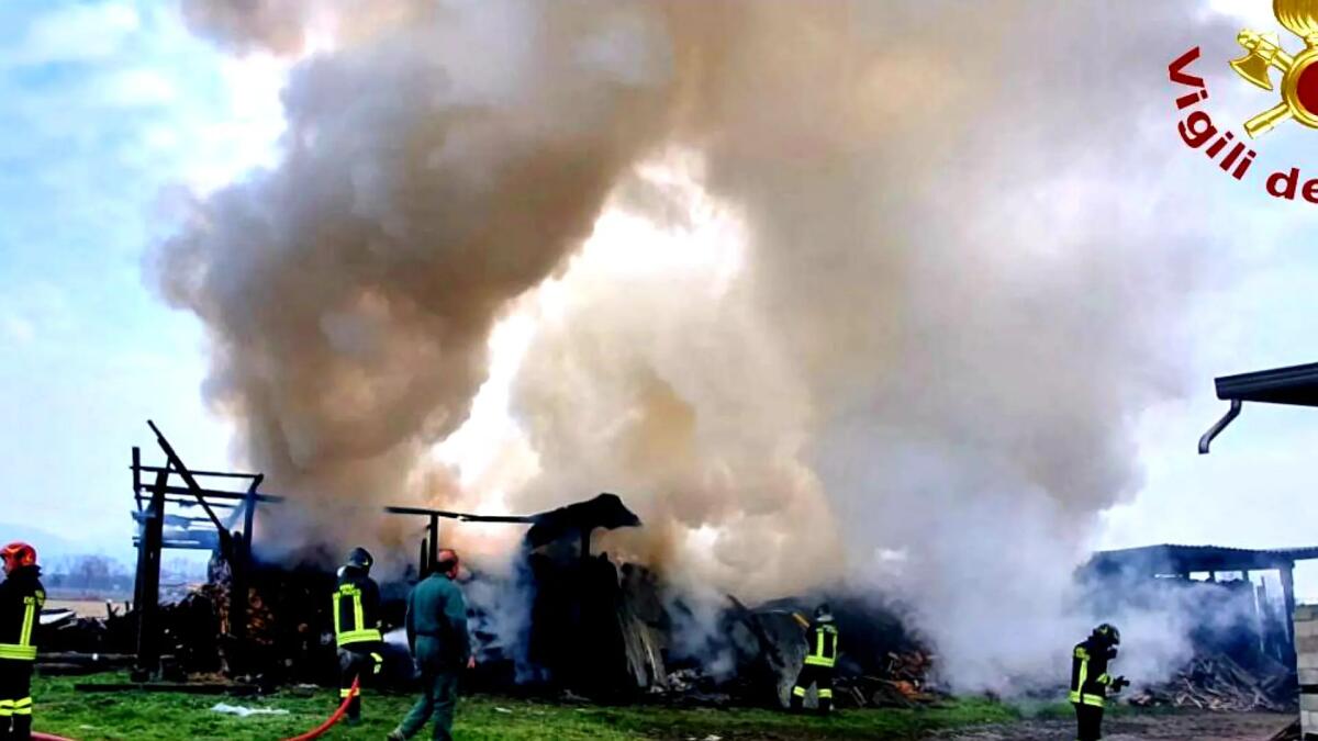 Legnaia a fuoco, le fiamme minacciano il capannone vicino. I pompieri evitano il peggio - 