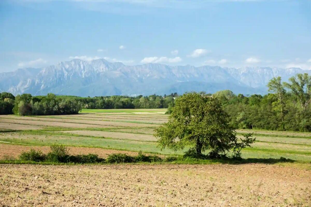 Sviluppo rurale nella programmazione 2023-2027: nuovo incontro a Fiume Veneto - 