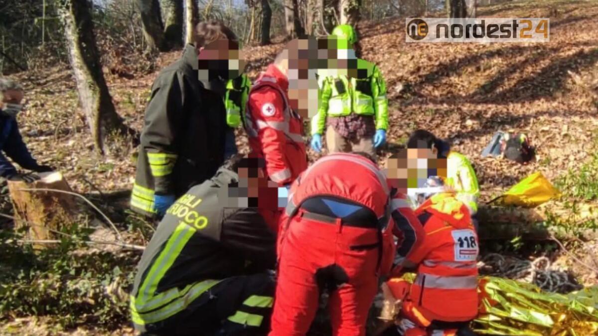 Travolto da un tronco mentre taglia alberi: 74enne ferito - 