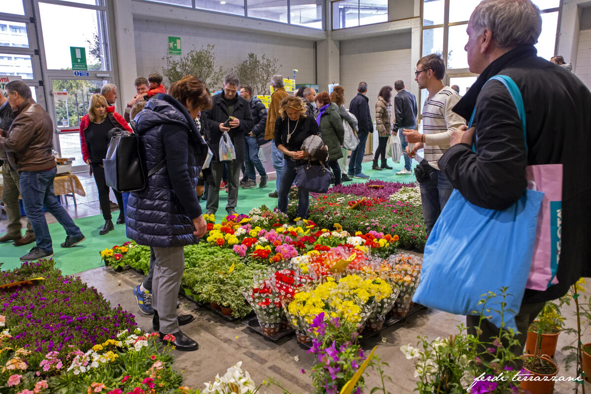 Ortogiardino alla Fiera di Pordenone, da domani il salone della floricoltura e vivaismo - 