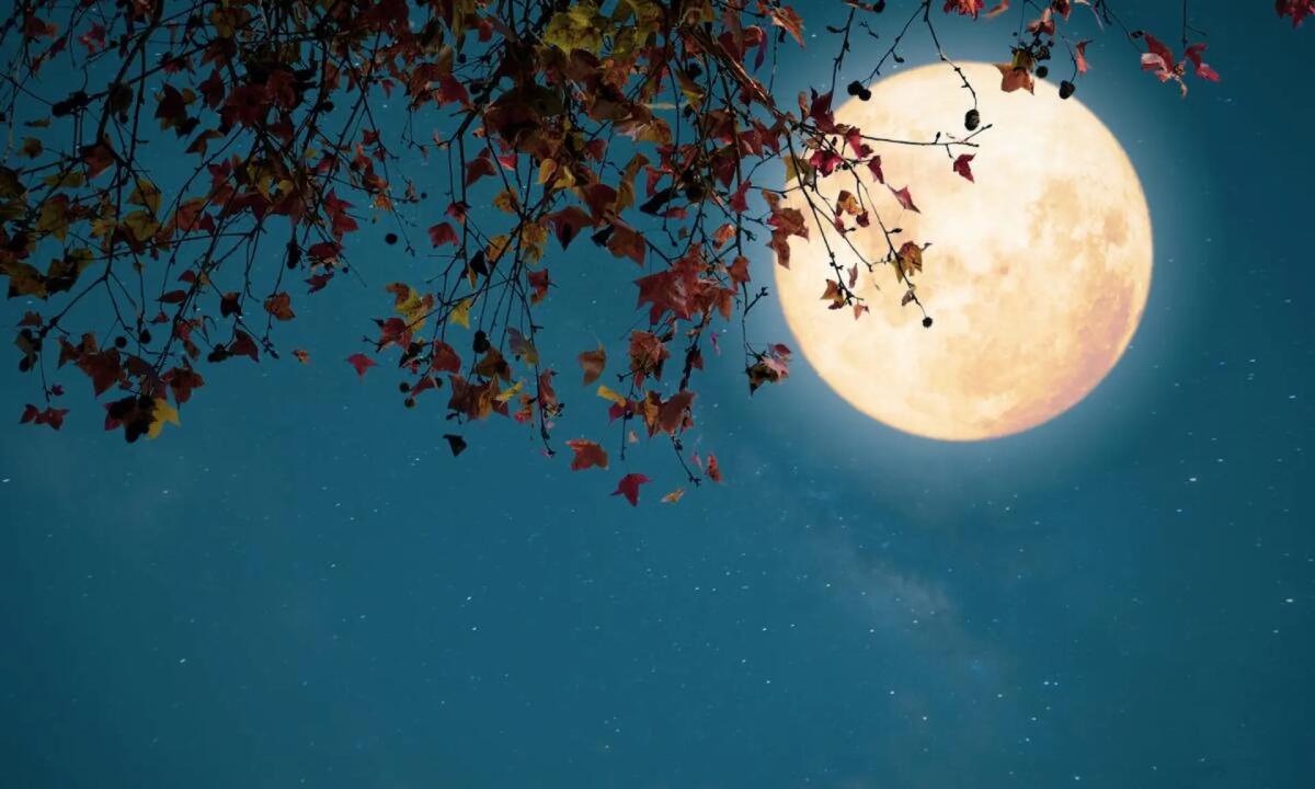 Ecco la Luna Piena del Verme: l'ultima dell'inverno. Quando e a che ora - 