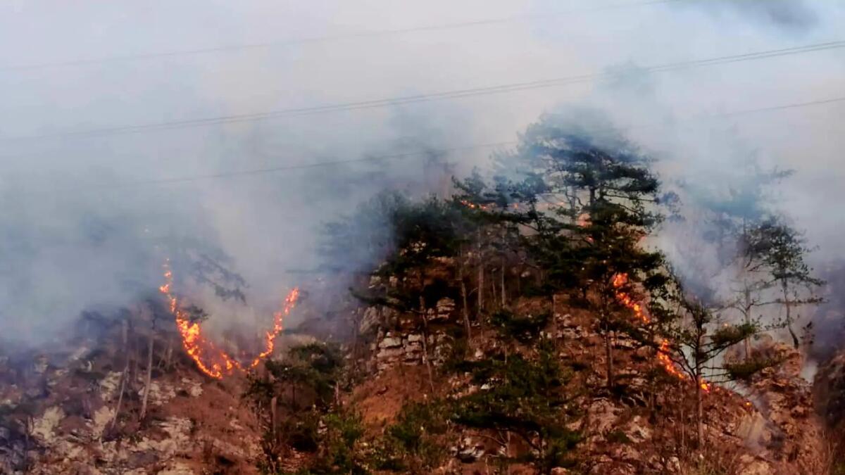 Incendi, bruciano i boschi nella borgata di Potocco a Chiusaforte - 