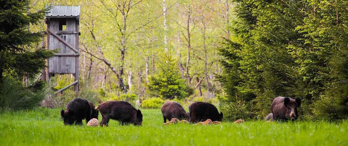 Cia Fvg: priorità alla gestione delle risorse idriche e della fauna selvatica - 