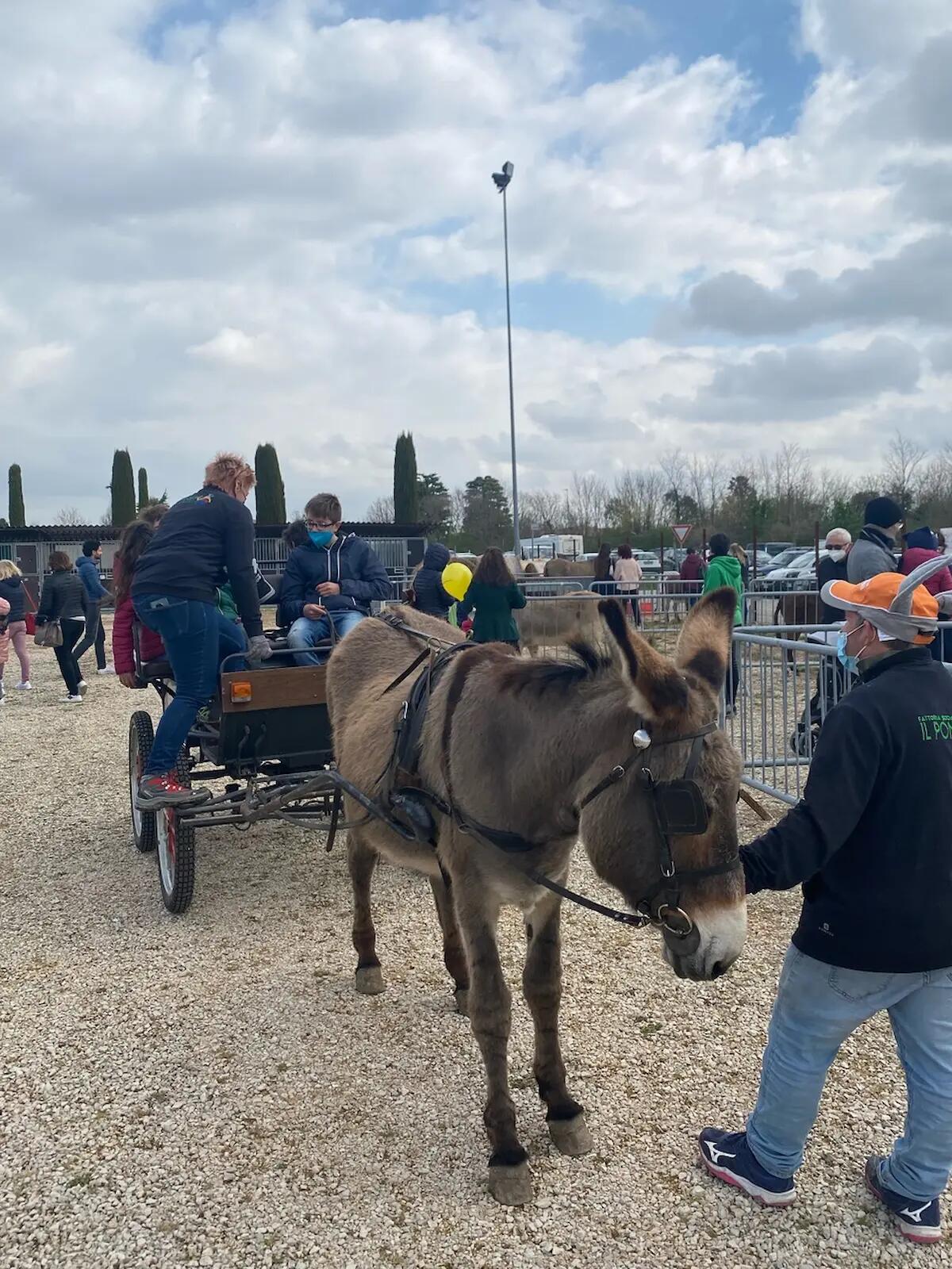 Antica Fiera di Godega al via: tre giornate, 24mila metri quadrati espositivi e 150 espositori -