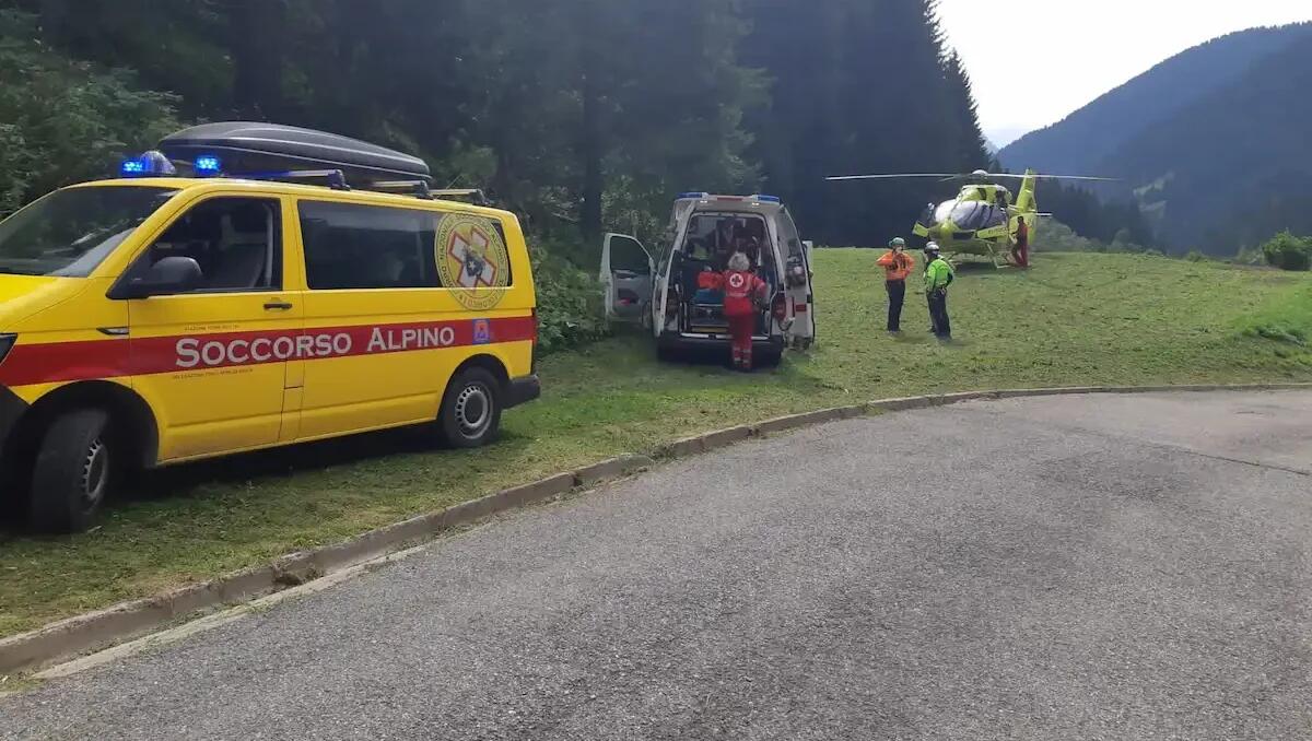 Cade nel bosco durante una passeggiata: ferito 78enne veneto, soccorso in Friuli - 