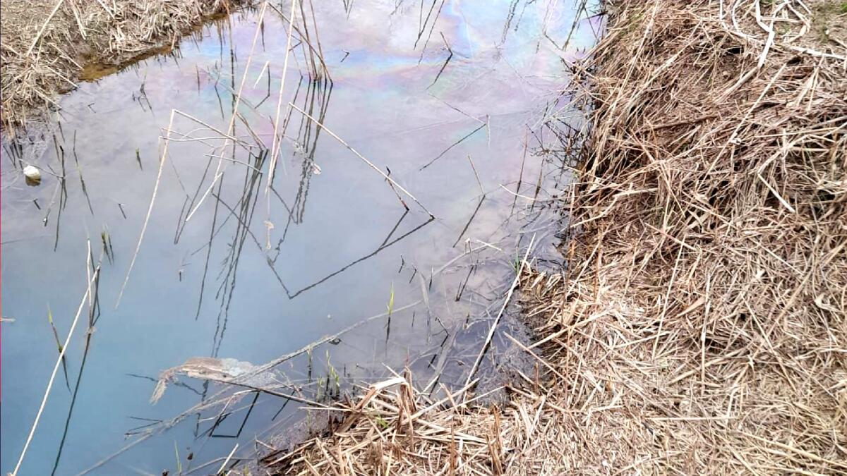 Bassa friulana, idrocarburi nel canale: al lavoro per limitare i danni ambientali - 