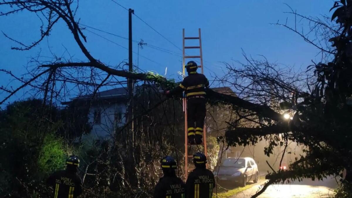 Treviso, albero piomba su una casa bloccando l'accesso - 