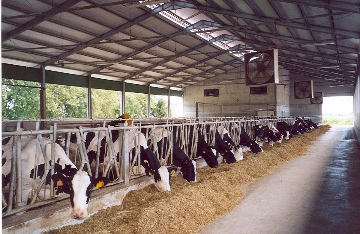 <strong>Emissioni industriali: il compromesso svedese penalizza il mondo agricolo</strong> - 