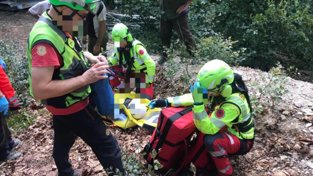 Travolto da un tronco mentre taglia un albero: grave un uomo - 