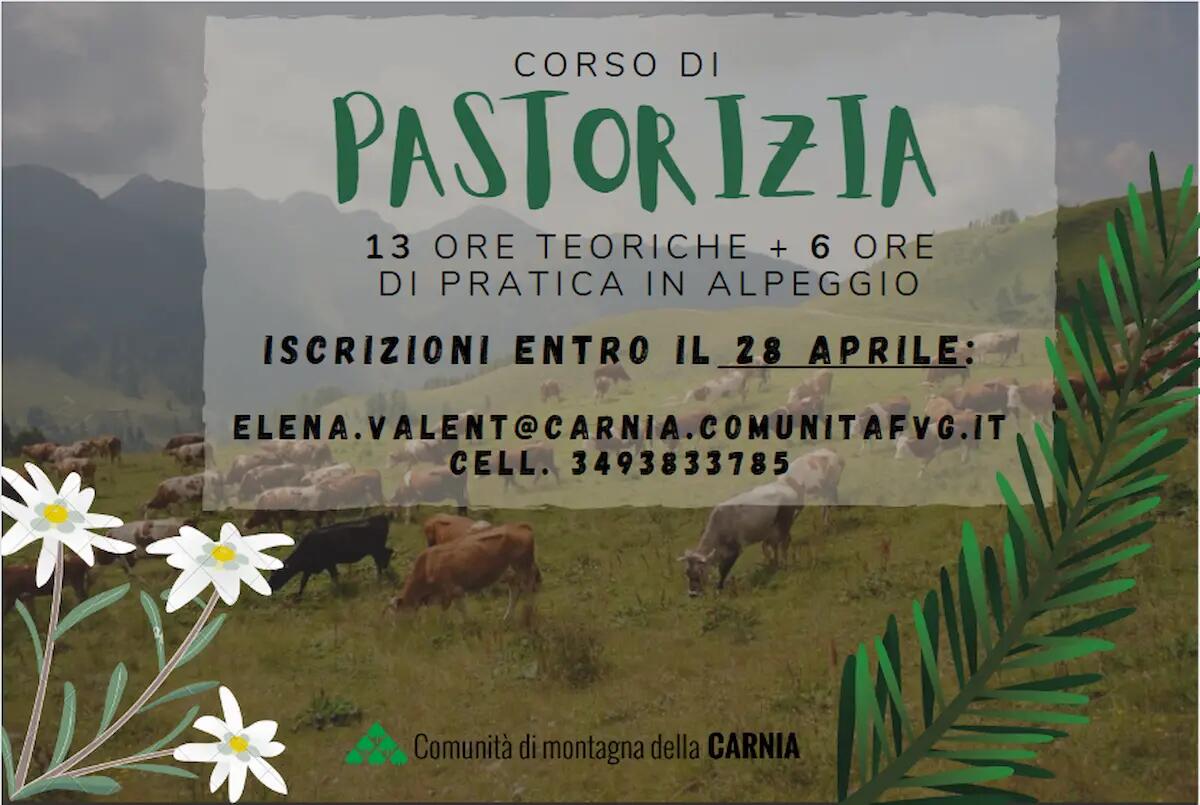 A maggio, corso gratuito di pastorizia promosso dalla Comunità di montagna della Carnia - 