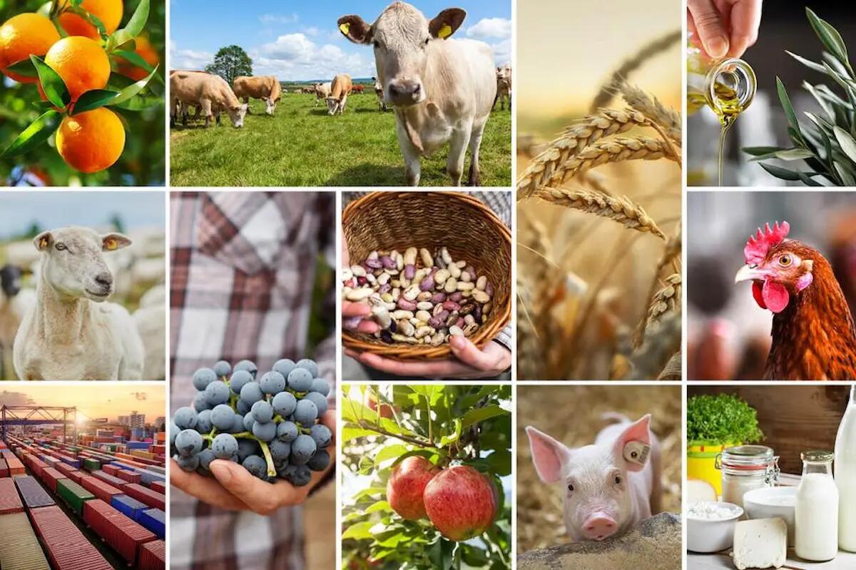 Cia Fvg, la Nuova Pac 2023-2027. Un incontro, il 3 maggio, a Codroipo - 