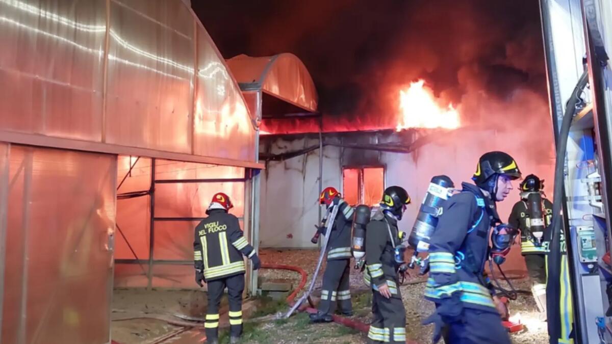 Maxi incendio a Paludo di Latisana, le fiamme divorano le serre agricole - 