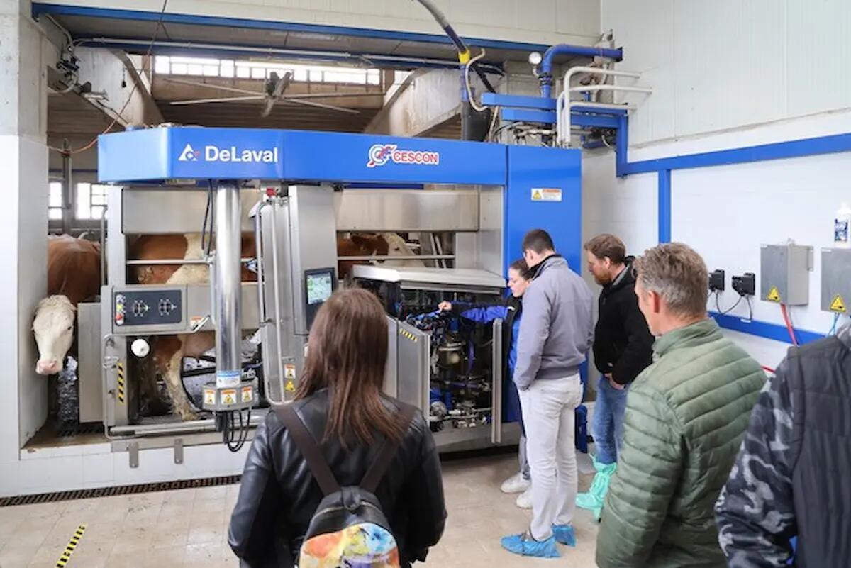 Azienda Agricola Fondazione Daniele Moro, in stalla entrano i robot di mungitura - 