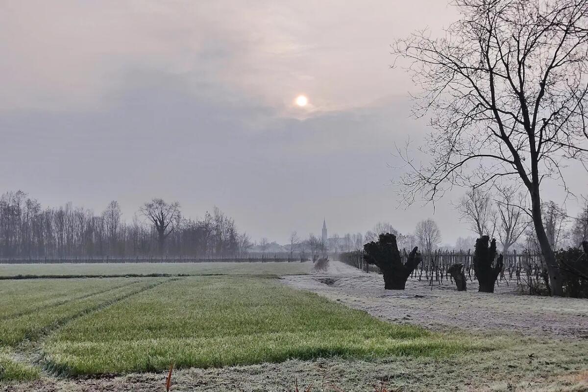 Casarsa, mostra fotografica mondo agricolo, ieri e oggi -