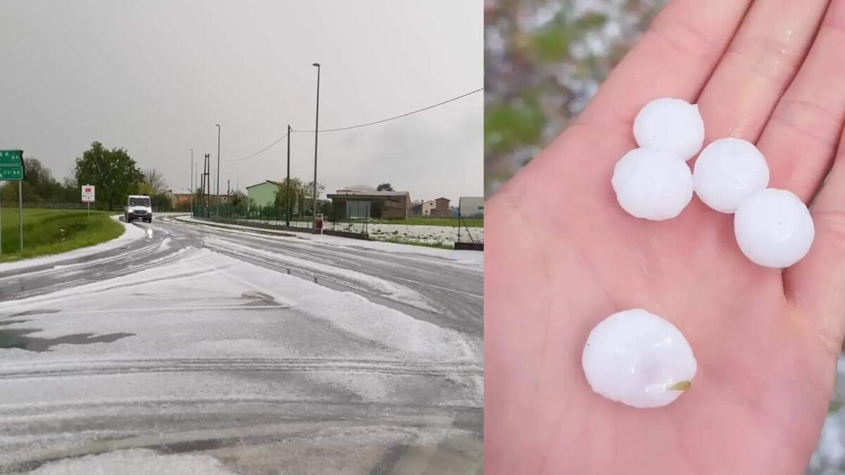 Maltempo del 25 aprile, grandine sulla Bassa padovana: seri danni all’agricoltura - 