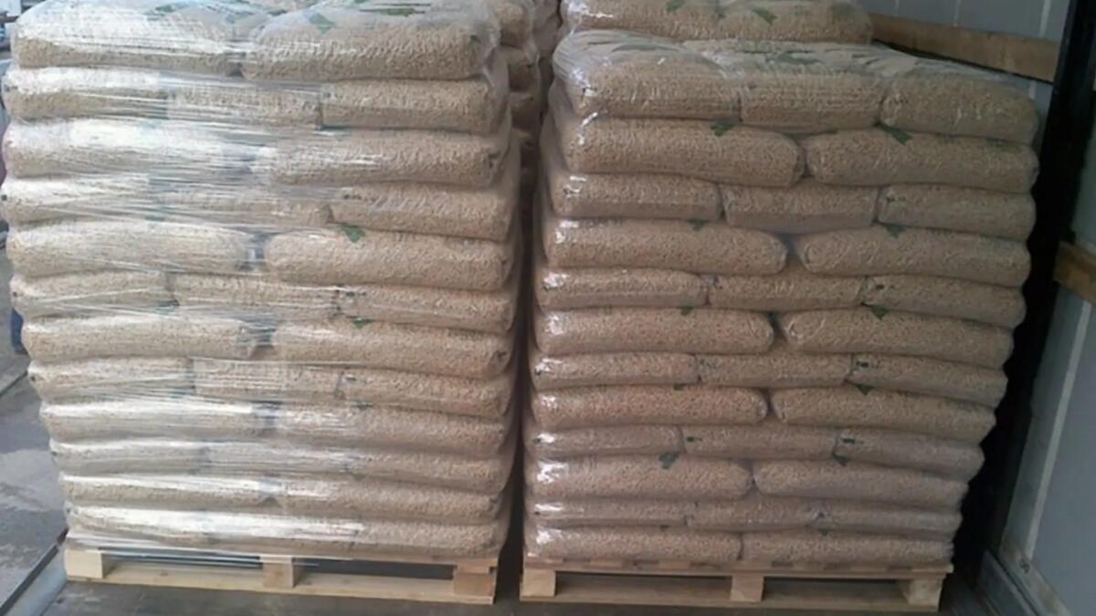 Truffe, incassavano i soldi per il pellet e poi sparivano: denunciati due giovani - 