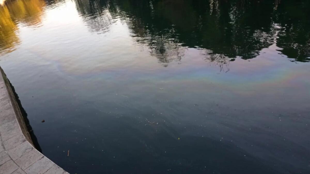 Sversamento di idrocarburi nel fiume Ausa a Cervignano - 