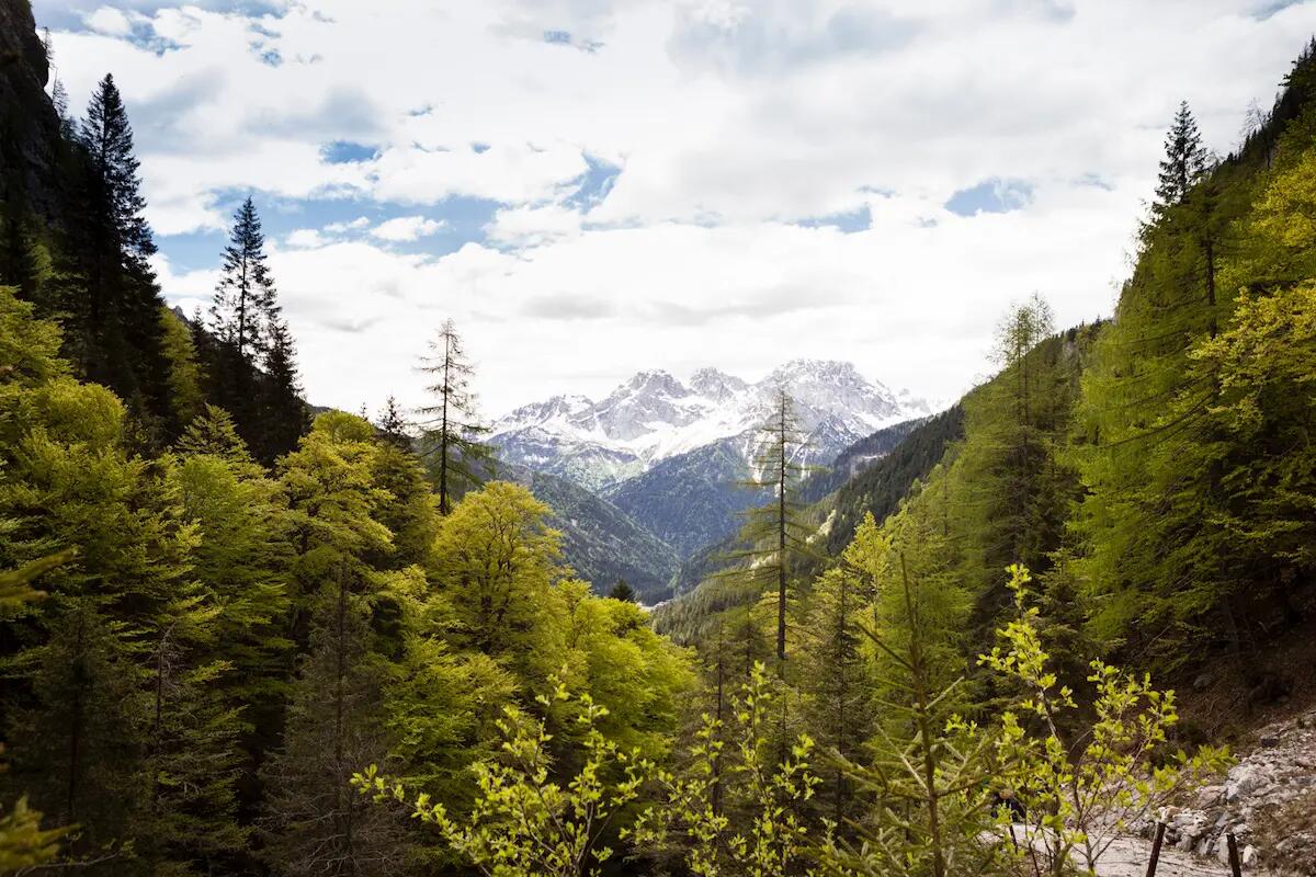 <strong>Goccia di Carnia è l’acqua ufficiale dell’Adunata Alpini 2023</strong> - 