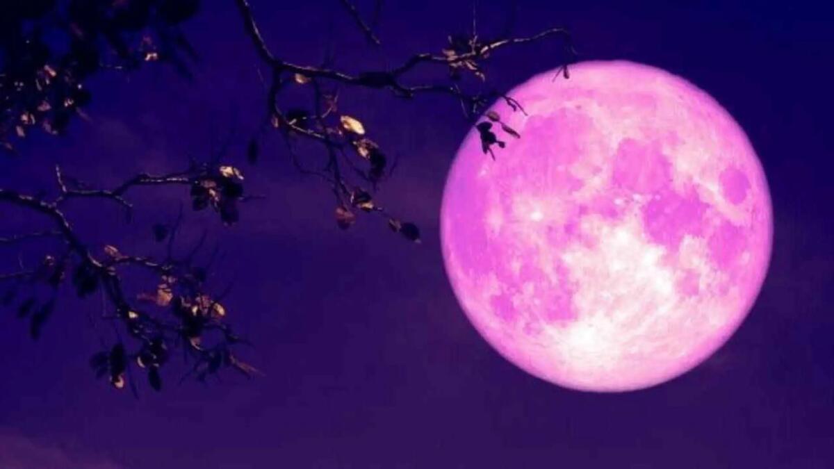 Luna Rosa d'Aprile, occhi all'insù per lo spettacolo nel cielo: ecco quando, riti e significato -