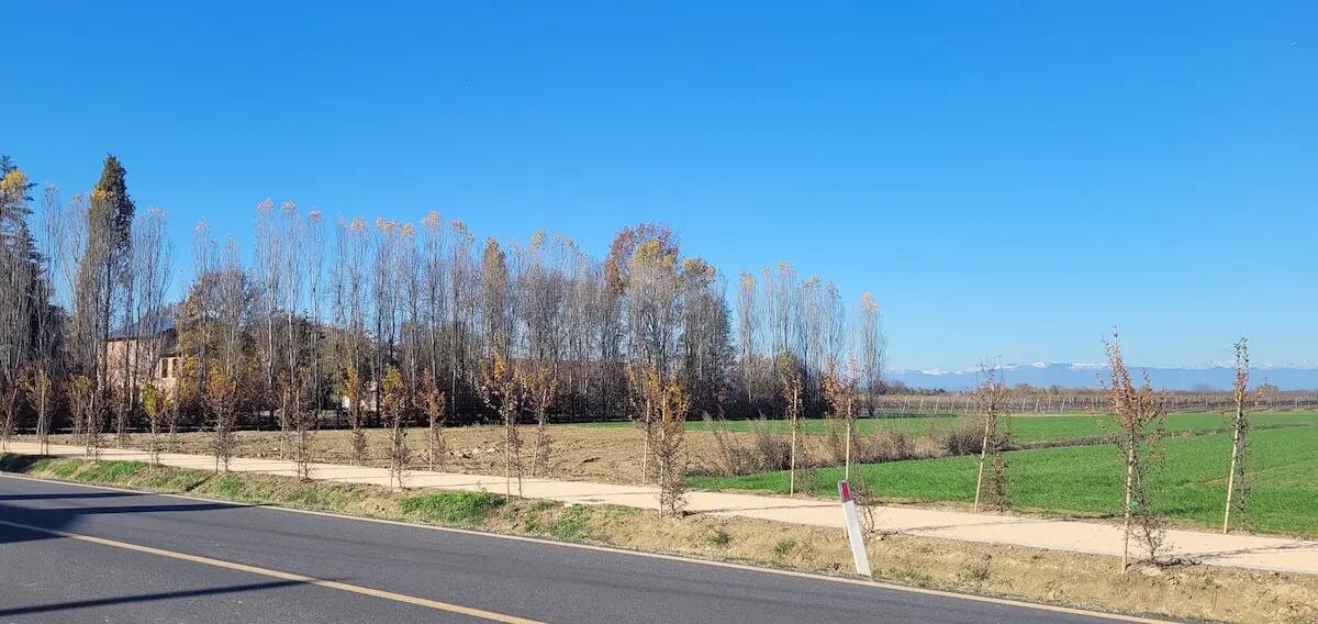 Silea, il 15 aprile si inaugura la pista ciclabile che costeggia la S.P. 64 Zermanesa - 