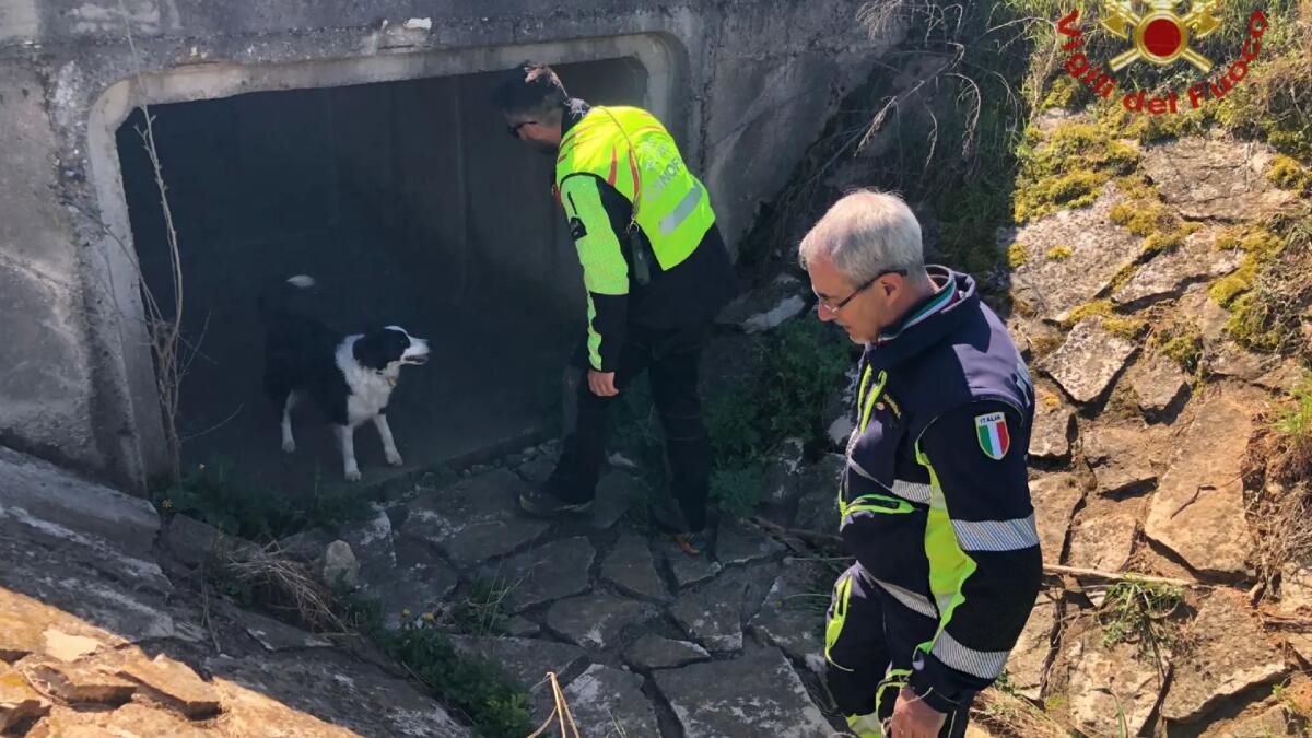 Si allontana dalla Casa di riposo, scomparso 63enne: attivate le ricerche - 