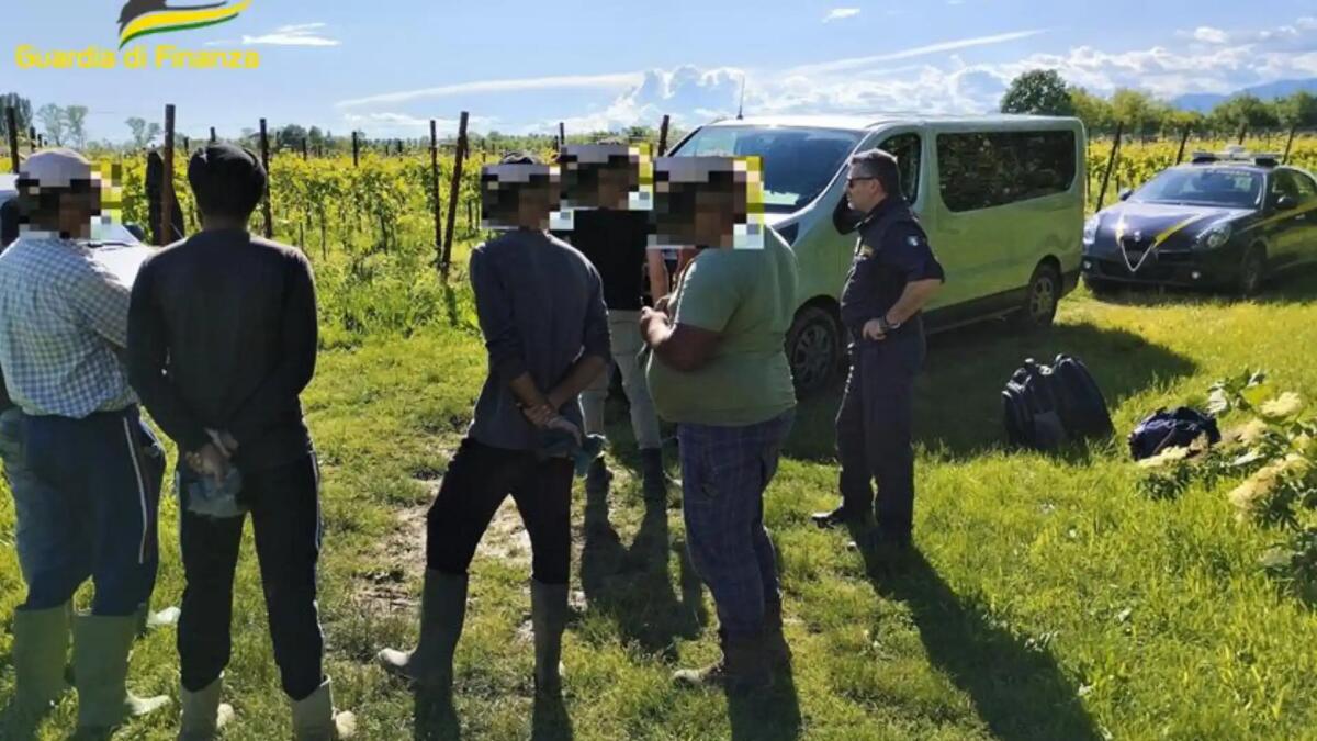 Friuli occidentale, beccati 55 lavoratori in nero (8 clandestini e 10 falsi turisti). Sospese 17 attività - 