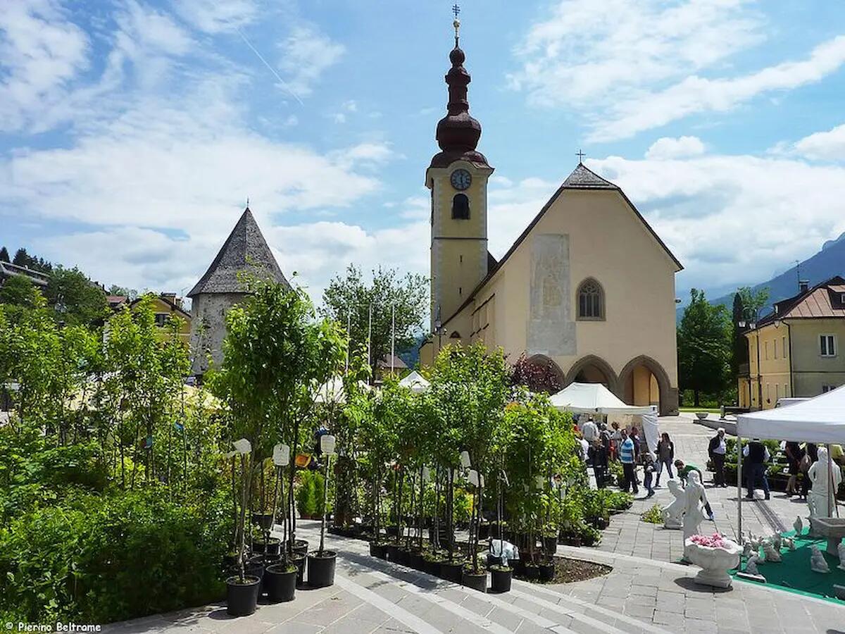 Al via "Tarvisio in fiore Expò e Gusto", dal 12 al 14 maggio in Piazza dell’Unità e via Roma a Tarvisio (UD) - 