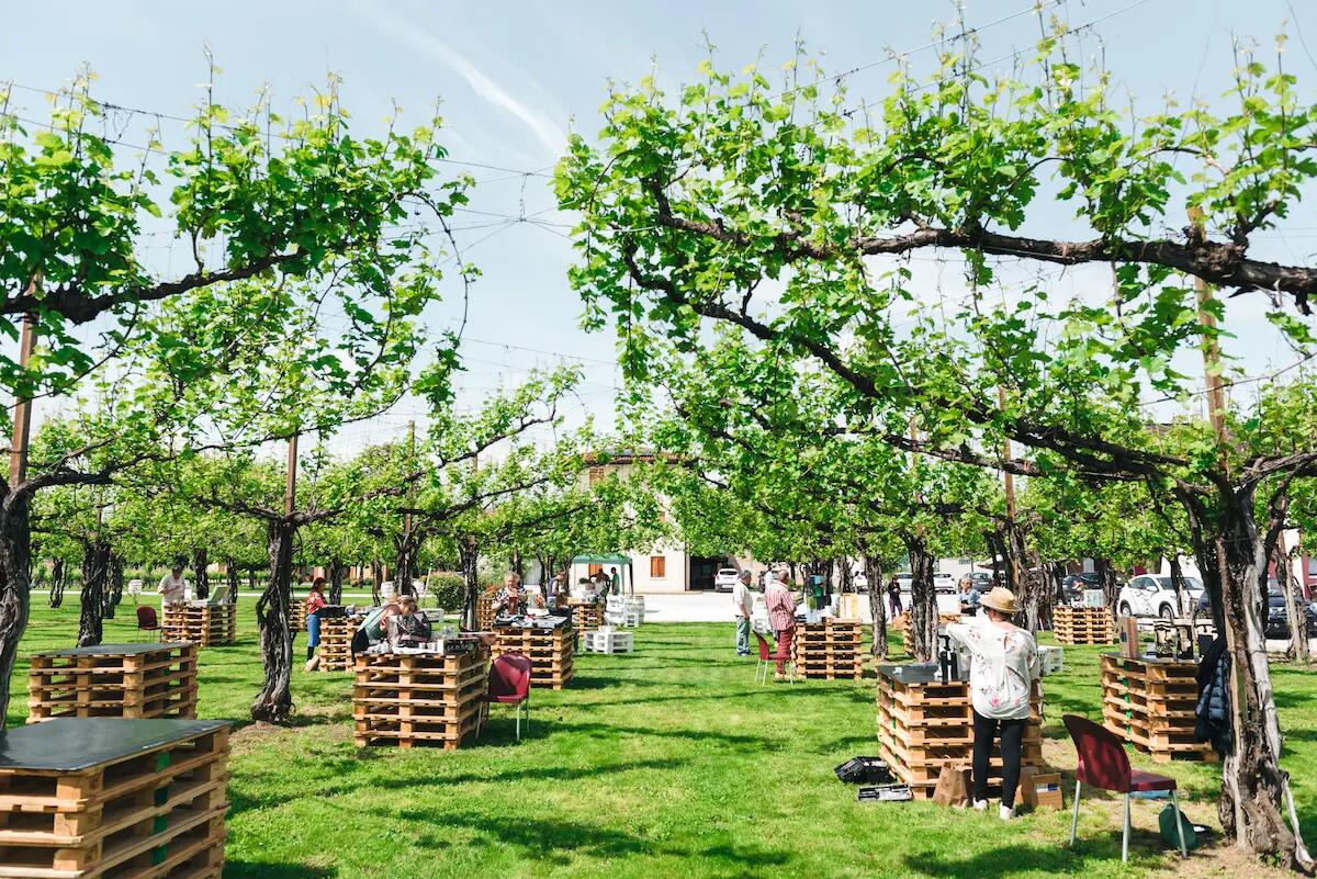 Open Day in cantina il 28 maggio vino e arte a Ca’ di Rajo -