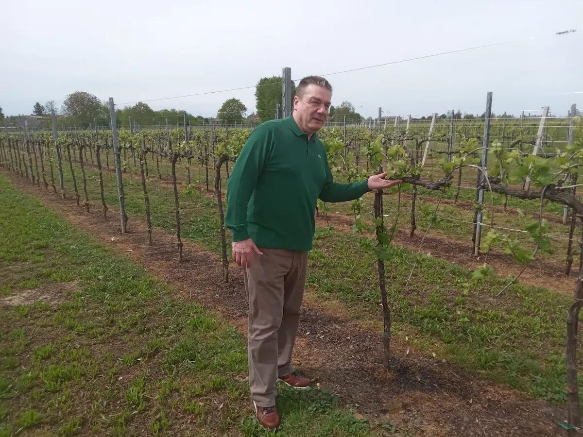 Marcon, il presidente del Consiglio comunale invita il giornalista Baldoni a non scattare foto durante la seduta - 