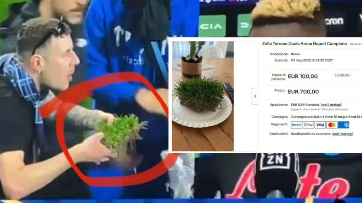 Su Ebay in vendita le zolle di terreno dello stadio Dacia Arena di Udine -