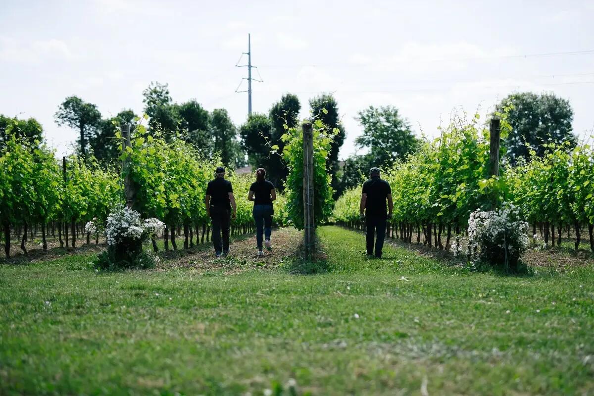 Stajnbech a Cantine Aperte e all'inaugurazione della Big Bench di Pramaggiore  - 