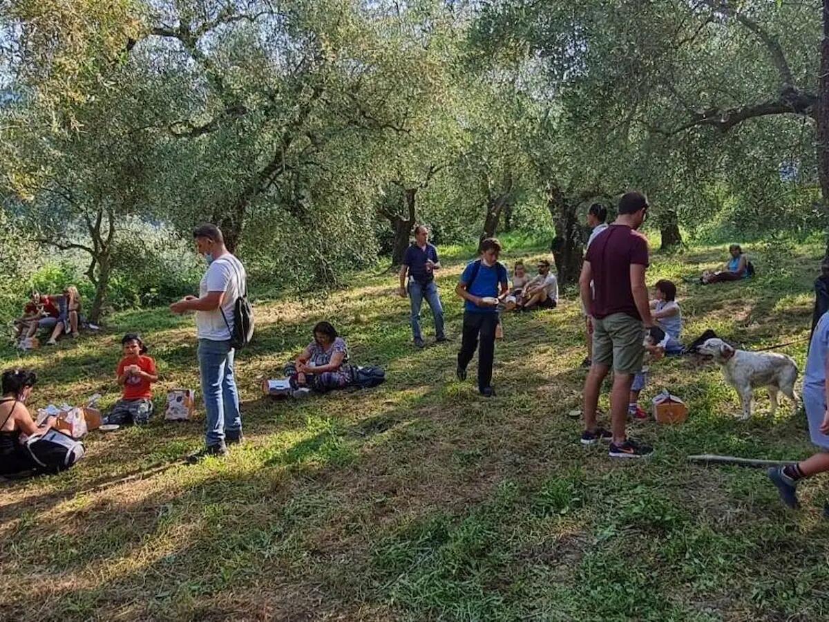Al via la terza edizione della Merenda nell’Oliveta Friuli Venezia Giulia protagonista con Duino Aurisina - 