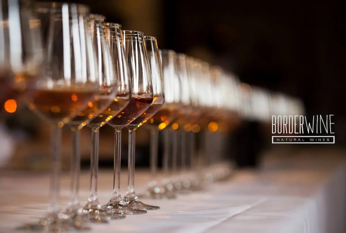 Fuoriborder approda a Trieste, viaggio nel vino naturale e visita alla mostra - 