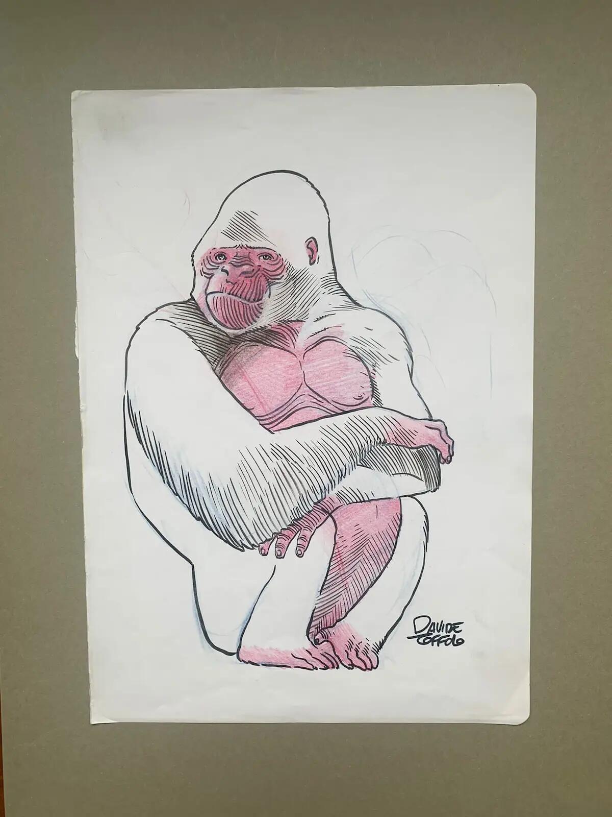 Arte, mostra temporanea di Davide Toffolo allo Studiovivacomix di Pordenone - 