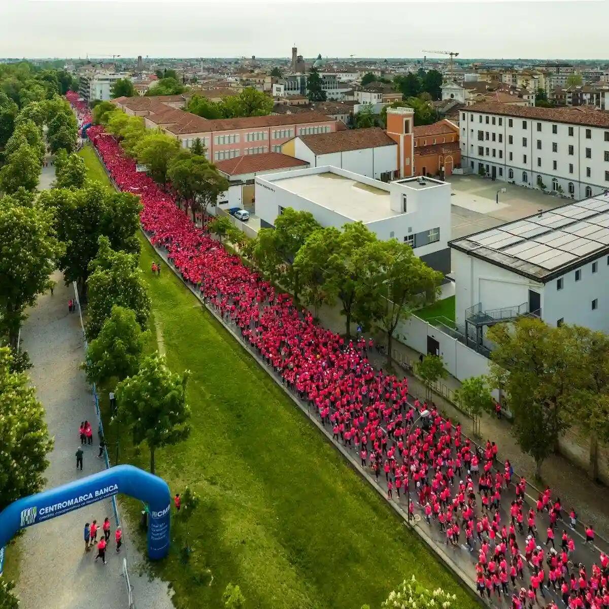 Treviso in Rosa, 10.218 donne unite per la solidarietà e la prevenzione dei tumori femminili - 