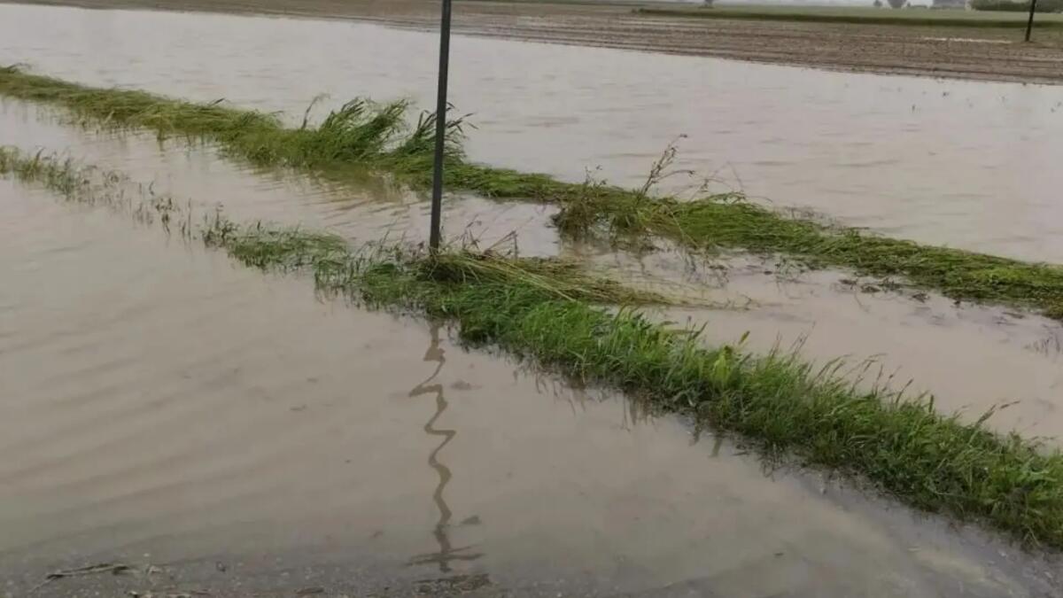 Dopo la siccità piogge abbondanti e allagamenti nel Polesine: "situazione critica" - 