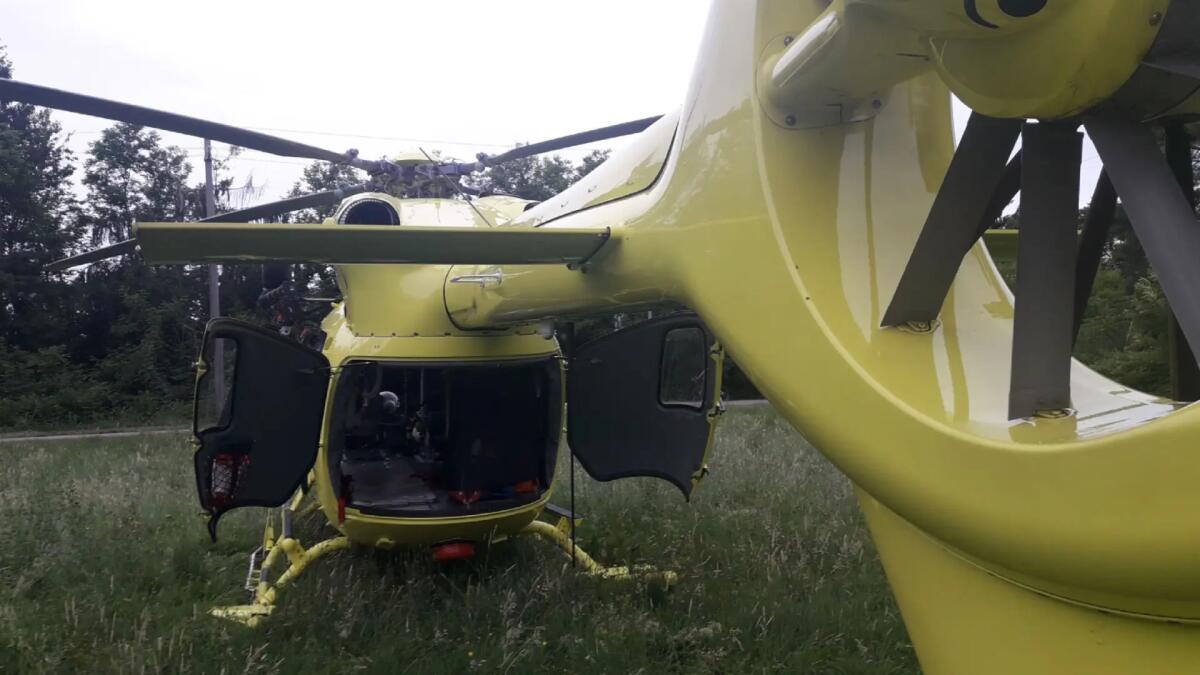 Cade da una pianta a Buja, volo di 10 metri: grave 50enne - 