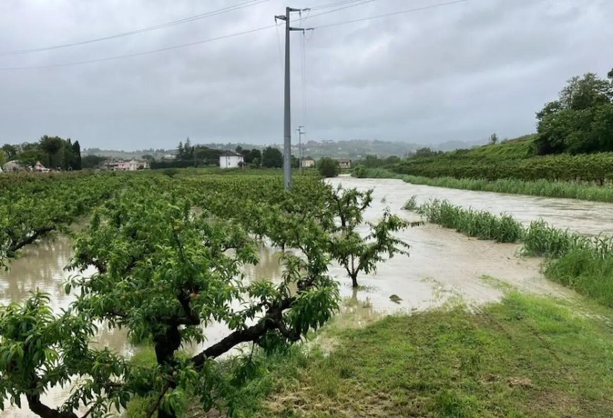 Alluvione in Romagna, i giovani agricoltori di Confagricoltura Fvg, operativi e solidali - 