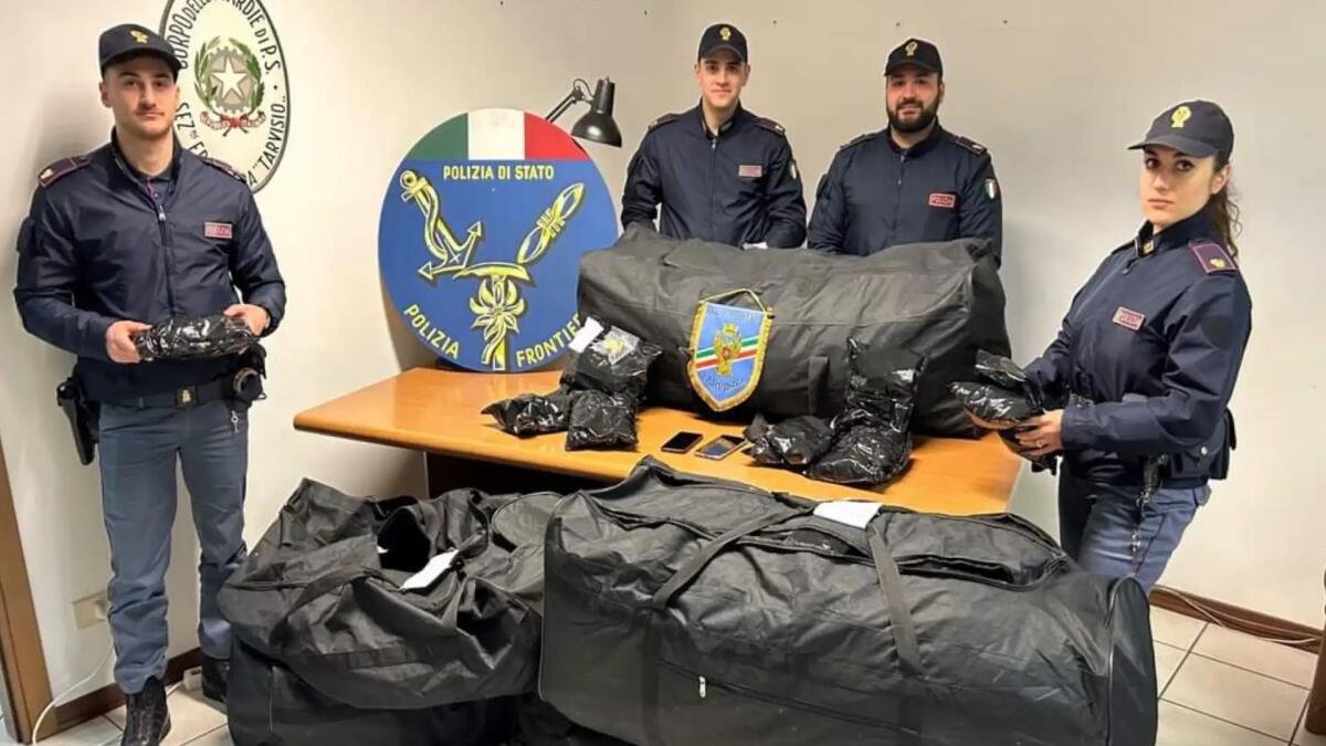 Droga, nascondeva 47 kg di bulbi di papavero: arrestato pakistano - 