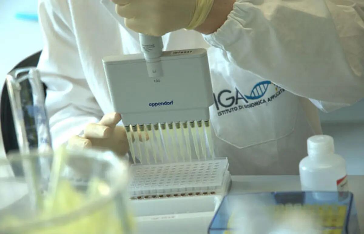 Cia Fvg, l'approvazione delle norme sulle TEA sono una svolta storica per agricoltura - 