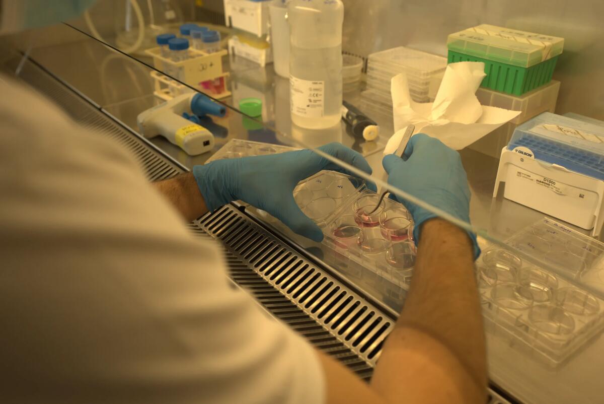 Al CRO le cure migliori per ogni paziente - 