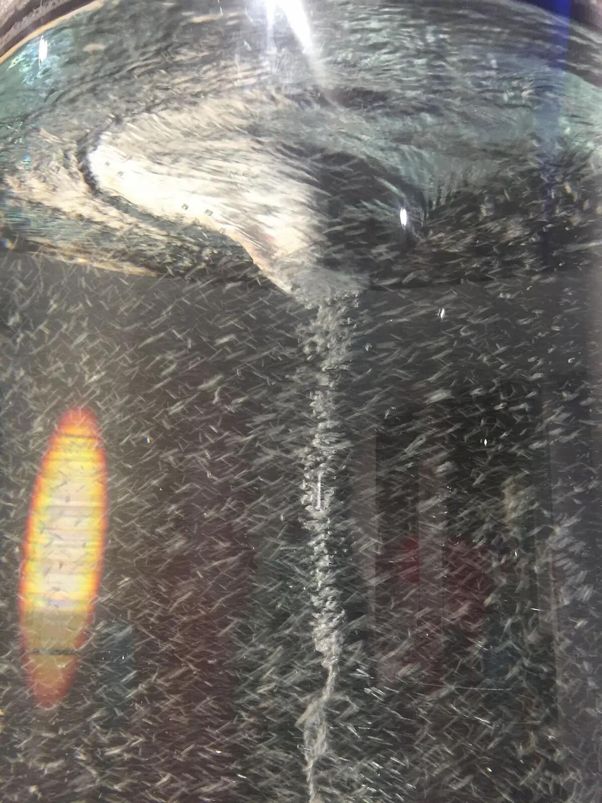 La fisica che non ti aspetti, per due domeniche all'Immaginario di Trieste - 