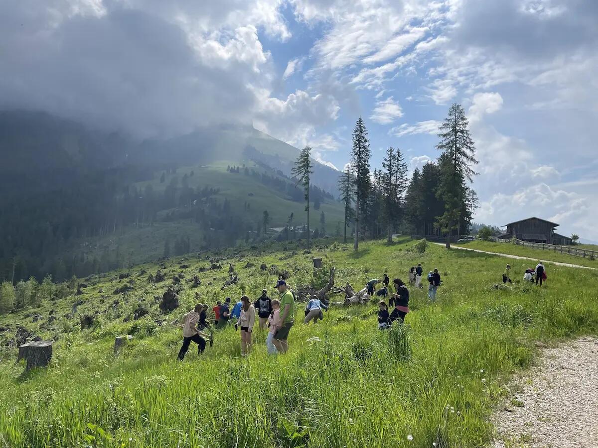 Niederstätter una "Carezza" al lago, 500 nuovi alberi nel bosco distrutto da Vaia -