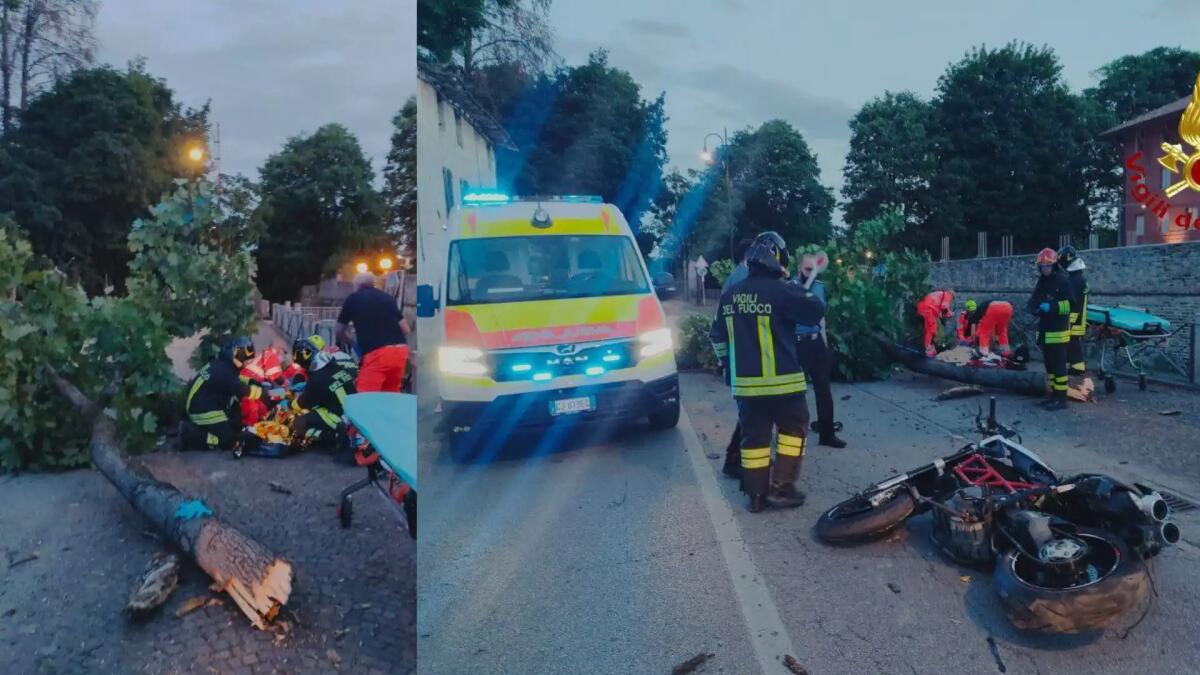 Con la moto contro un albero a San Vito al Tagliamento: grave 23enne - 